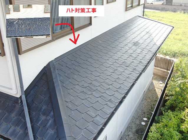 加古川市　S様邸　ハト被害対策工事。ハト被害の状況説明をしっかりしてくれて納得できたと嬉しい声を頂きました